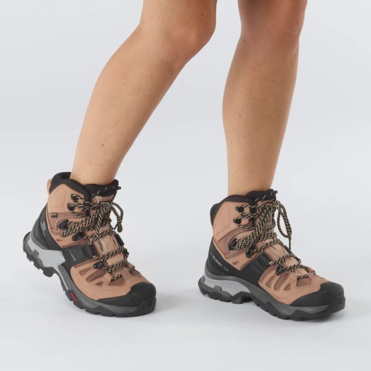 Botas Caminhada Salomon Quest 4 GTX Feminino Marrom Pretas | PT B02851